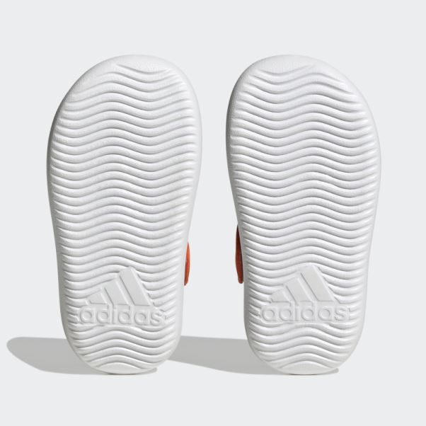 Sandales D'été à Bout Fermé Adidas Trouver Nemo Blanc élégant