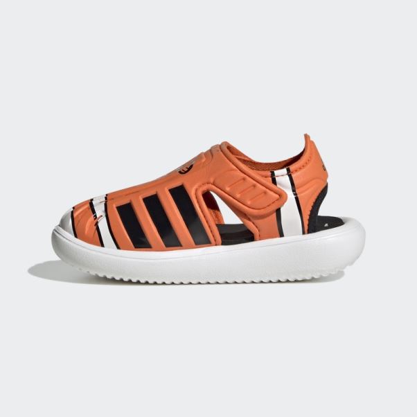 Sandales D'été à Bout Fermé Adidas Trouver Nemo Blanc élégant