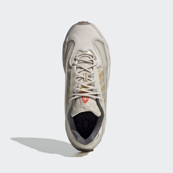 Chaussure Adidas Bliss Oznova