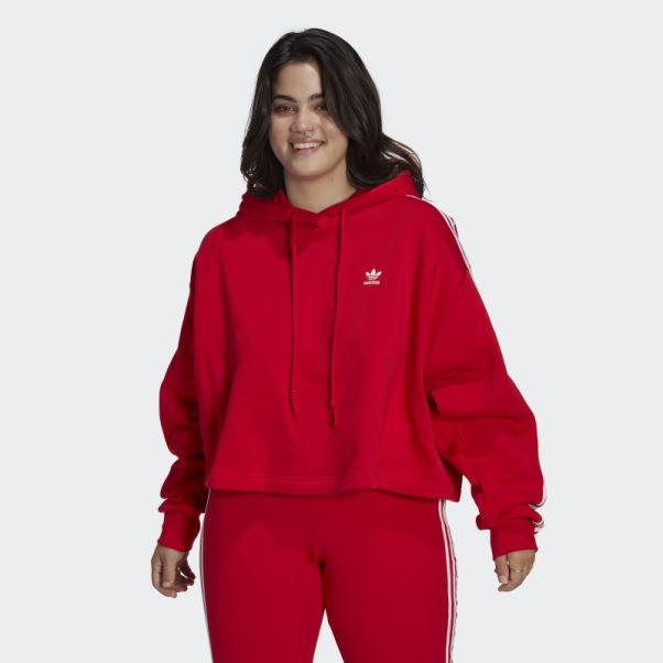 Sweat à Capuche Court Adidas Scarlet Adicolor Classics (taille Plus)