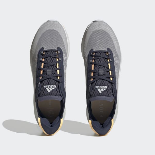 Chaussures Avryn Adidas Bleu Marine