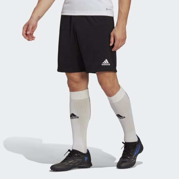 Short D'entraînement Entrada 22 Noir Adidas