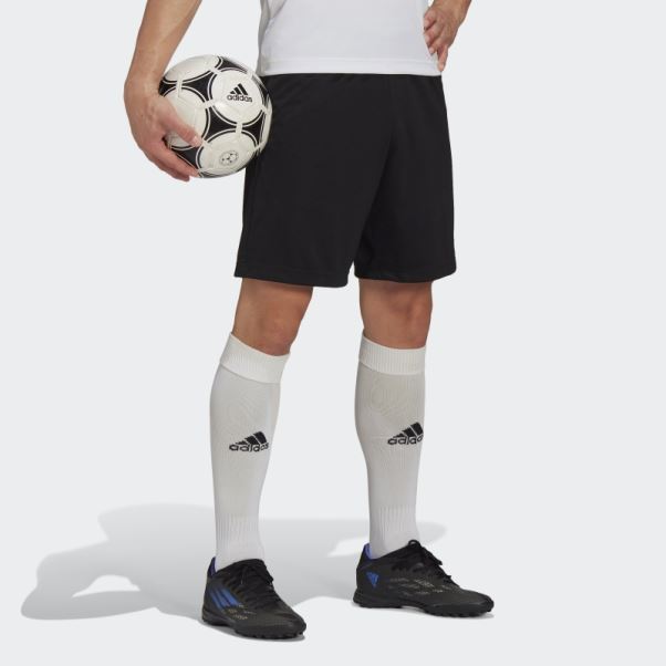 Short D'entraînement Entrada 22 Noir Adidas