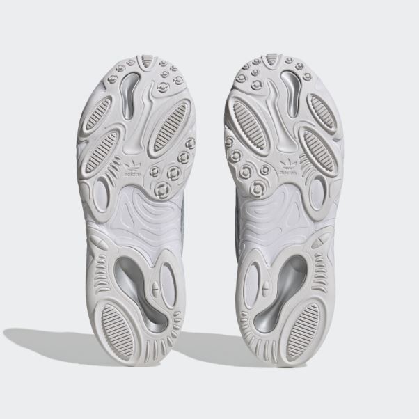 Chaussures Oznova Adidas Gris Clair
