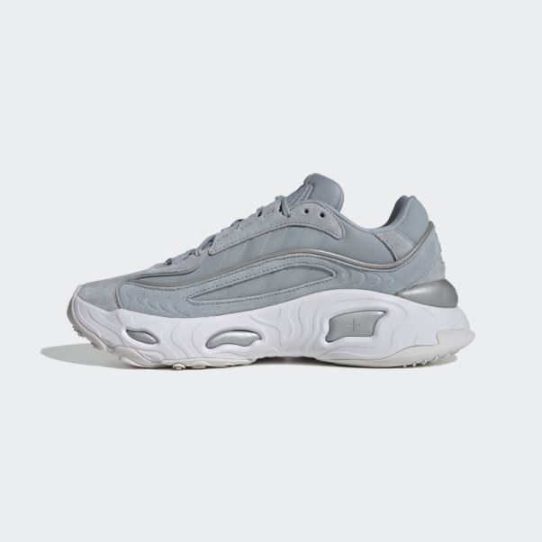 Chaussures Oznova Adidas Gris Clair