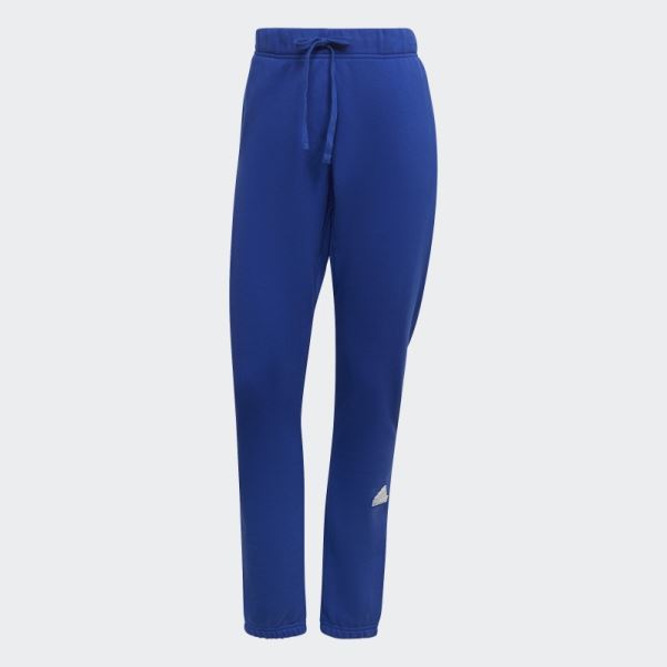 Pantalon De Survêtement Bleu Adidas