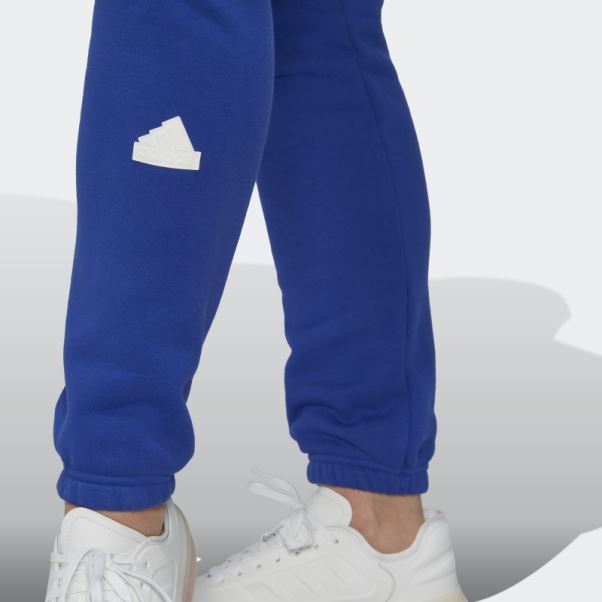 Pantalon De Survêtement Bleu Adidas