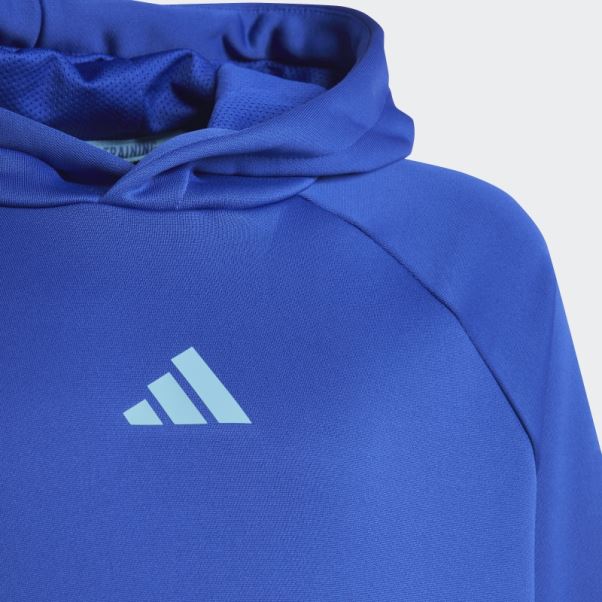 Sweat à Capuche Adidas Train Icones Aeroready 3 Bandes Bleu