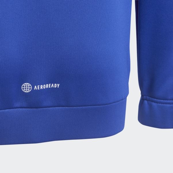 Sweat à Capuche Adidas Train Icones Aeroready 3 Bandes Bleu