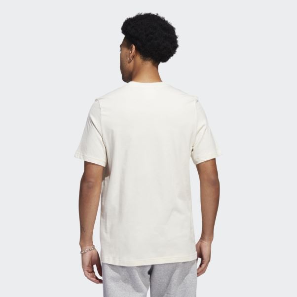 Adidas Adicolor Essentials Tee Shirt Trèfle Blanc