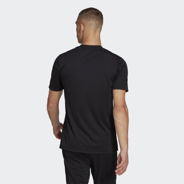 Adidas Entrada 22 Maillot Graphique Noir élégant