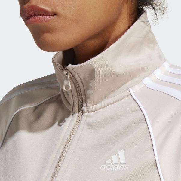 Survetement Adidas Teamsport Taupe