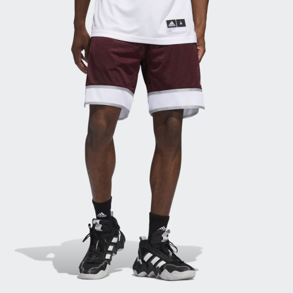 Short Aggies Swingman Adidas Bordeaux
