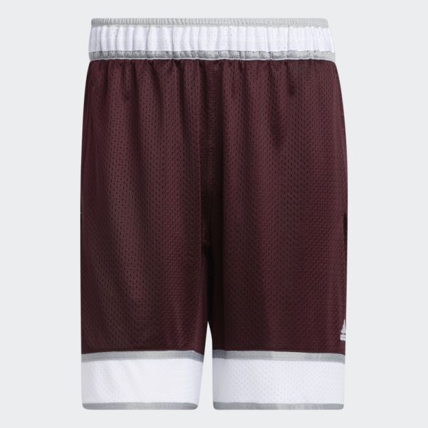Short Aggies Swingman Adidas Bordeaux