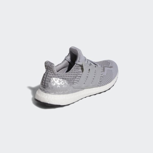 Ultraboost 5.0 Dna Running Sportswear Lifestyle Chaussures Argent Adidas