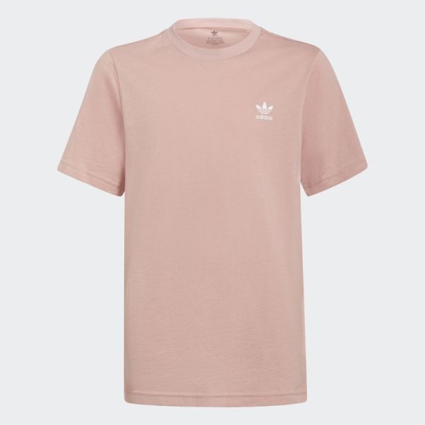 Tee Shirt Adicolor Adidas Mauve