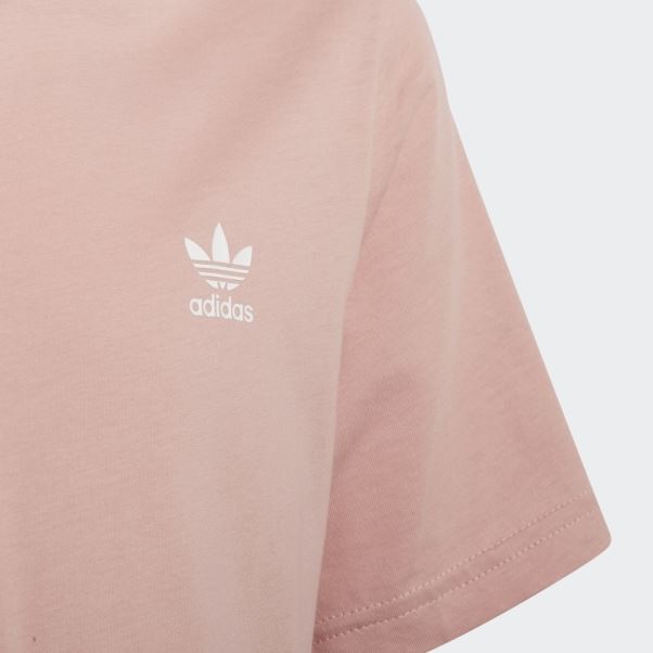 Tee Shirt Adicolor Adidas Mauve