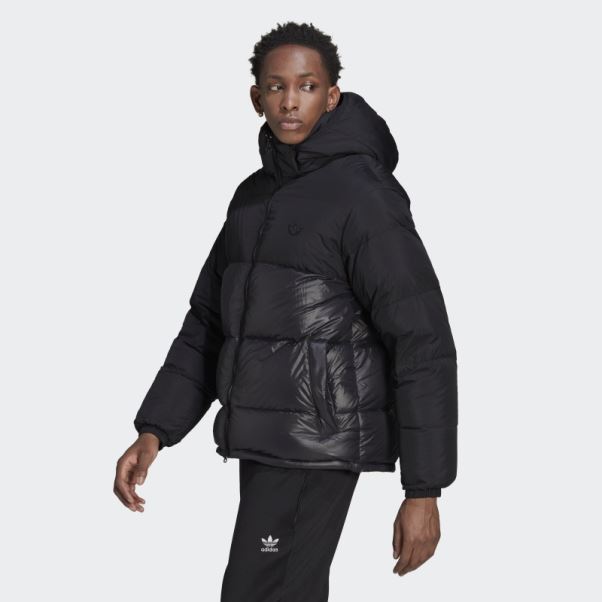 Doudoune à Capuche Down Regen Adidas Noir