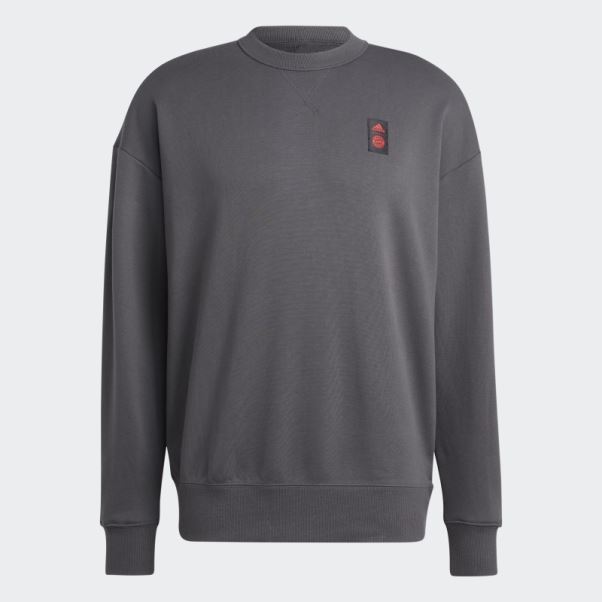 Sweat Adidas Fc Bayern Lifestyler Crew Gris