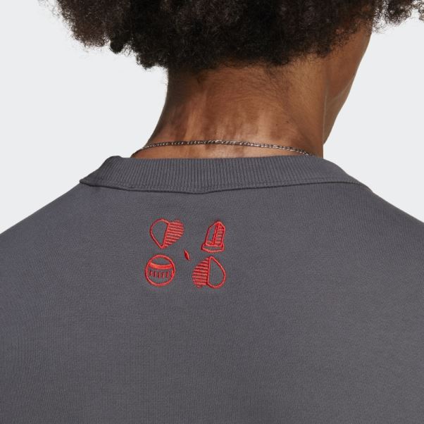 Sweat Adidas Fc Bayern Lifestyler Crew Gris