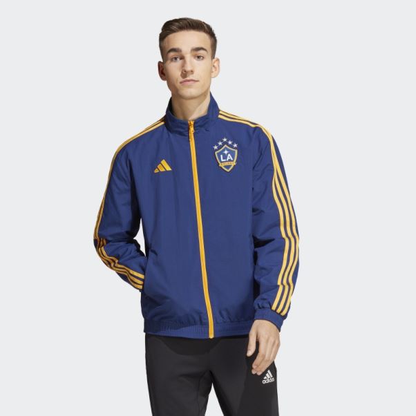 Veste La Galaxy Anthem Adidas Bleu Foncé