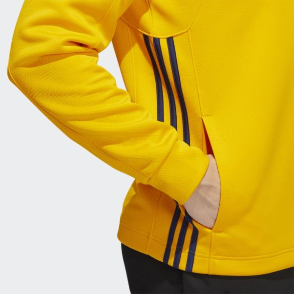 Sweat à Capuche En Dentelle Adidas Prédateurs Skate Colleg Or
