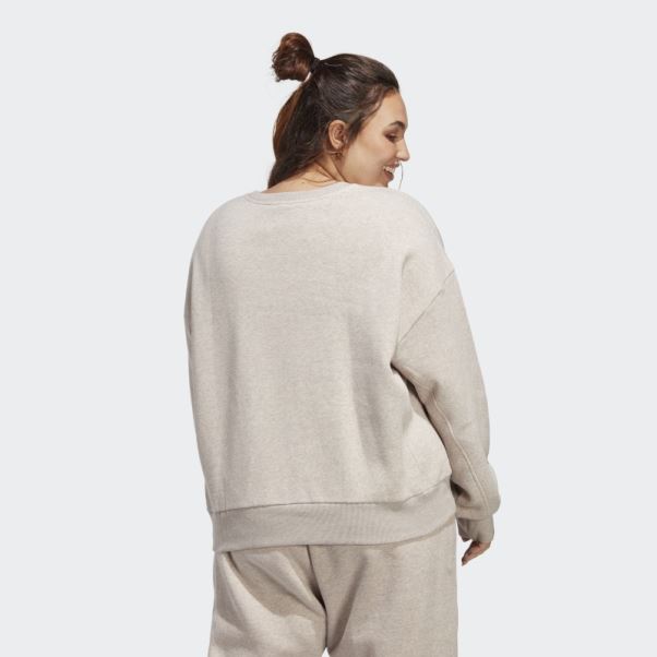 Adidas Taupe Mel Sweat Polaire All Szn (taille Plus)