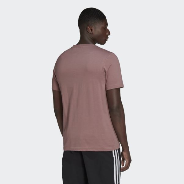 T-shirt Trèfle Adidas Adicolor Classics Violet