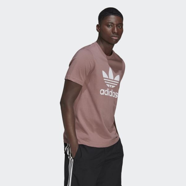 T-shirt Trèfle Adidas Adicolor Classics Violet