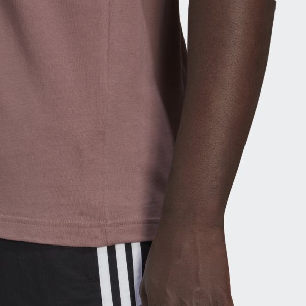 T-shirt Trèfle Adidas Adicolor Classics Violet
