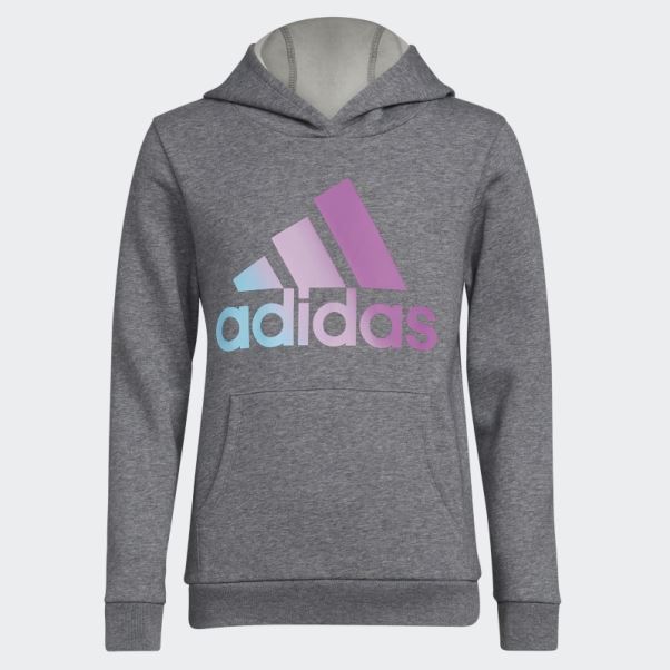 Sweat à Capuche En Molleton Graphique Adidas Charcoal Hthd