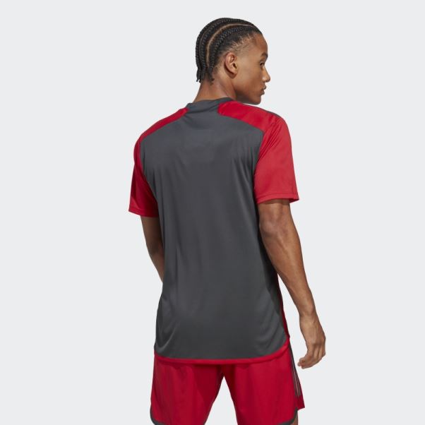 Maillot Domicile Adidas Toronto Fc 23/24 Gris Uni