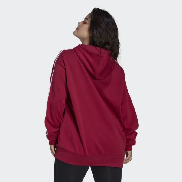 Sweat à Capuche Adicolor Trefoil (grande Taille) Bordeaux Adidas