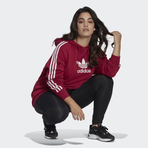 Sweat à Capuche Adicolor Trefoil (grande Taille) Bordeaux Adidas