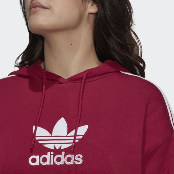 Sweat à Capuche Adicolor Trefoil (grande Taille) Bordeaux Adidas