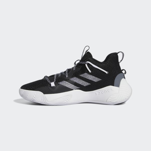 Adidas Harden Stepback 3 Chaussures Noir