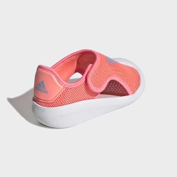 Sandales De Bain Adidas Altaventure Sport Rouge Acide