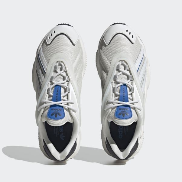 Chaussure Adidas Oztral Royal