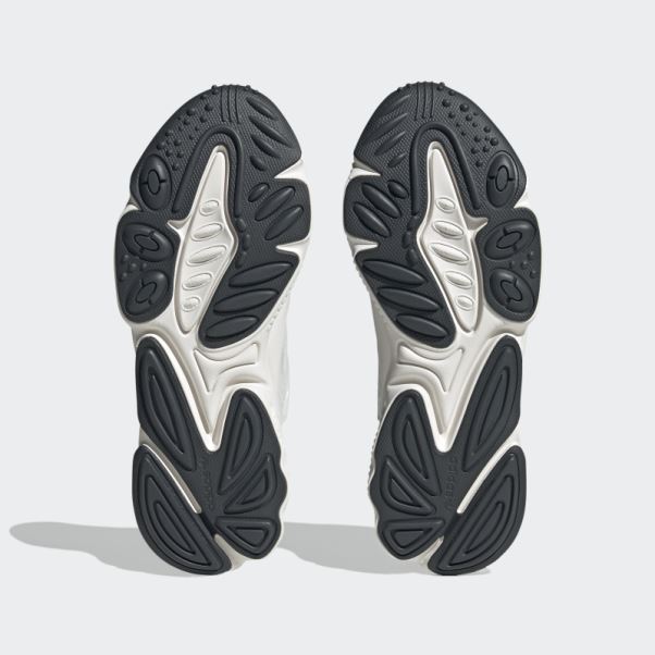 Chaussure Adidas Oztral Royal