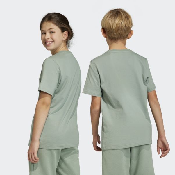 Tee Shirt Adicolor Vert Argent Adidas