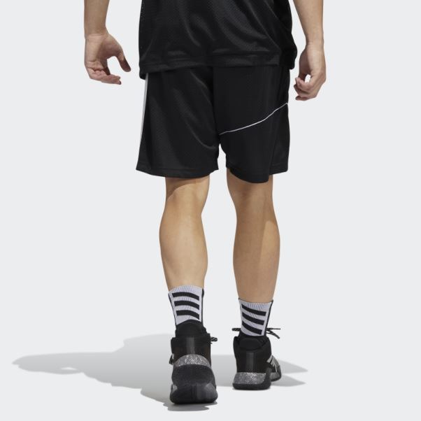 Short De Basketball Creator 365 Noir Adidas