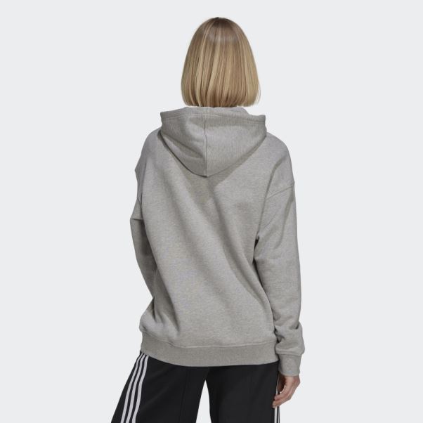 Sweat à Capuche Adidas Adicolor Trèfle Gris Moyen