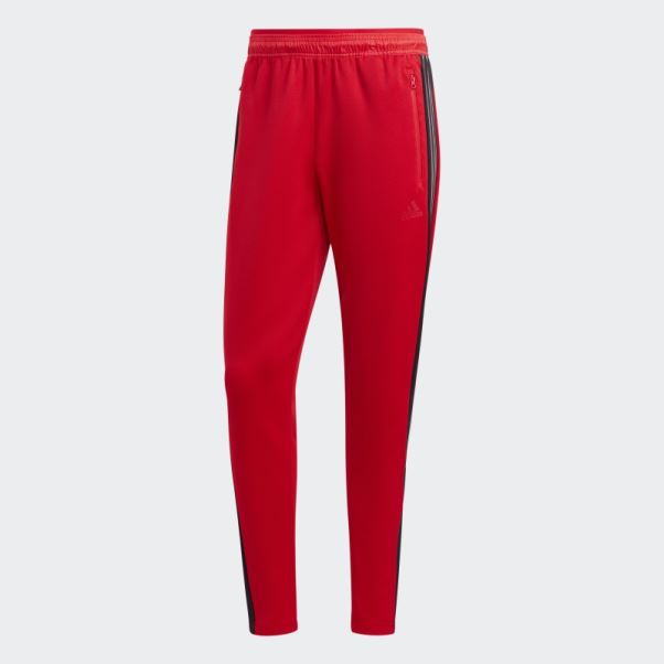 Tiro Suit-up Pantalon De Jogging Avancé écarlate Adidas