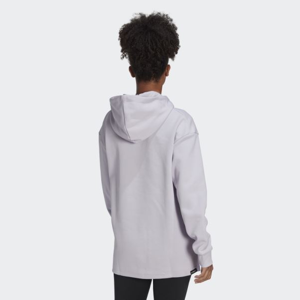 Sweat à Capuche Graphique Logo Terrex Silver Dawn Adidas