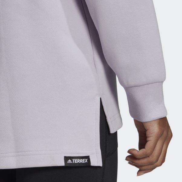 Sweat à Capuche Graphique Logo Terrex Silver Dawn Adidas