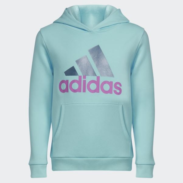Sweat à Capuche En Molleton Graphique Bleu Adidas
