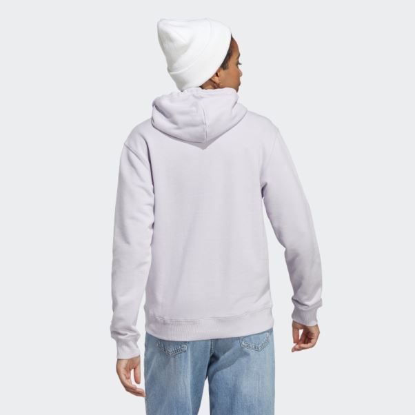 Sweat à Capuche Classique En Molleton à Gros Logo Silver Dawn Essentials Adidas