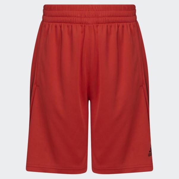 Y Bold 3s Short 22 Adidas Rouge