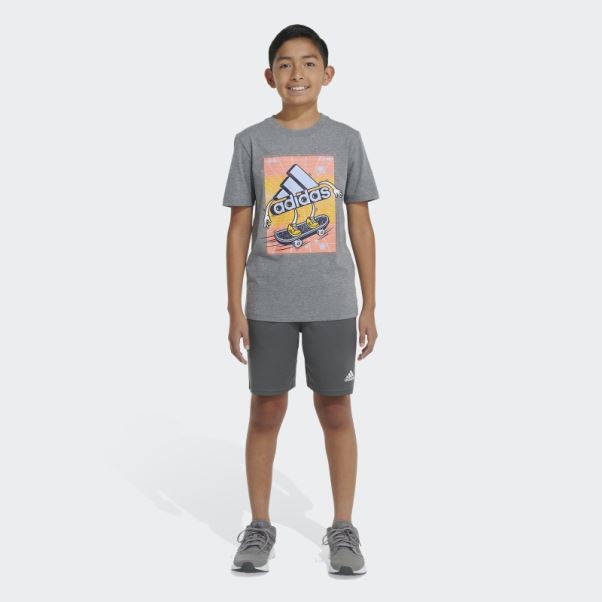 Adidas Chiné Skater Badge Of Sport Tee Gris Moyen