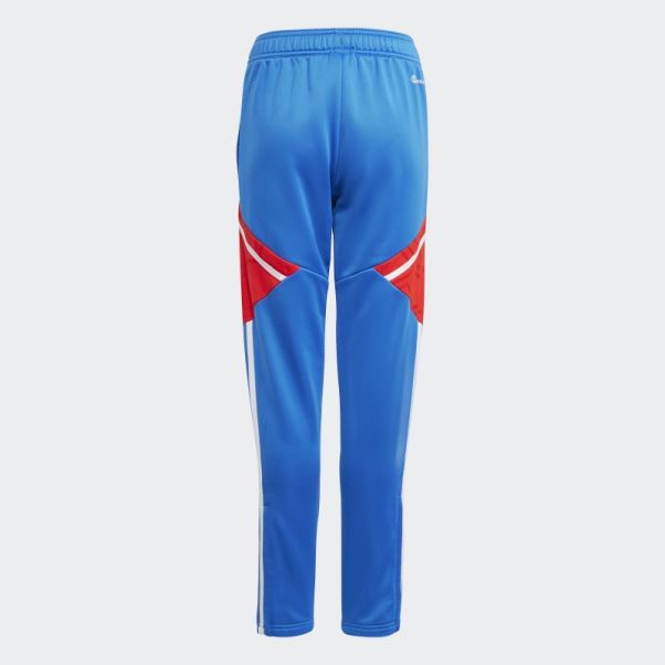 Adidas Royal Fc Bayern Condivo 22 Pantalon De Survêtement D'entraînement Mode